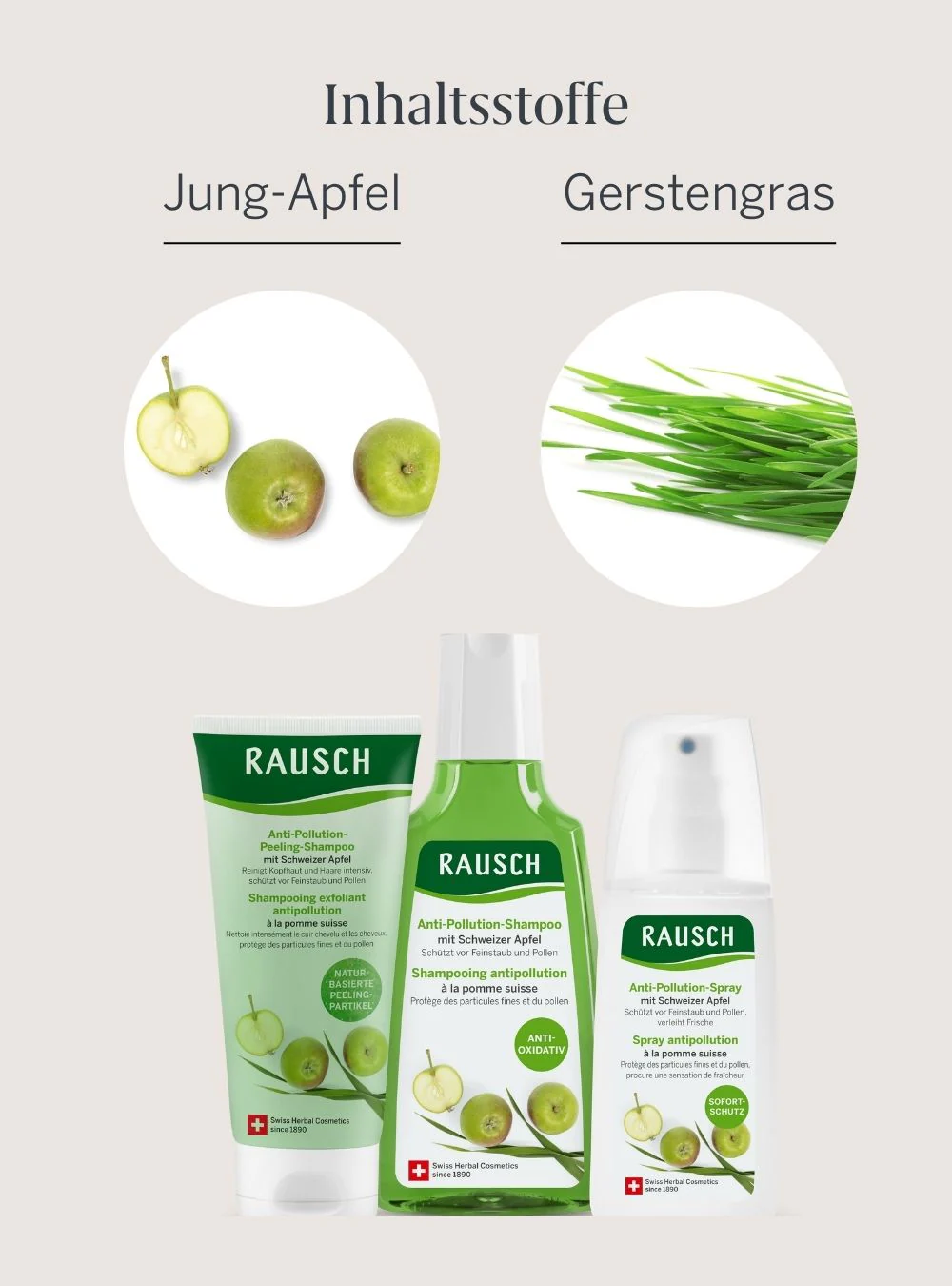 Vorschaubild 4
